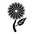 Sunflower flora leaves icon pictogram