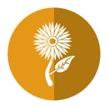 Sunflower flora leaves icon shadow