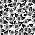 Sunflower flower black isolated seamless