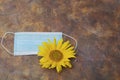 Sunflower flower and healing mask, on a brown background, there is room for text