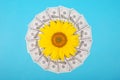 Sunflower flower on mandala kaleidoscope from money. Abstract money background raster pattern repeat mandala circle