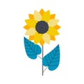 Sunflower flower. Ukrainian symbols