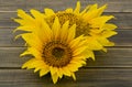 Sunflower flowers on wooden background close-up Royalty Free Stock Photo