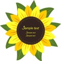 Sunflower in the form Frame for your information Royalty Free Stock Photo