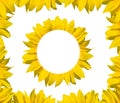 Sunflower frame