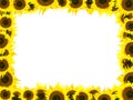 Sunflower frame