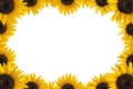 Sunflower frame Royalty Free Stock Photo