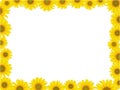 Sunflower frame