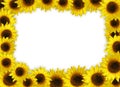 Sunflower Frame