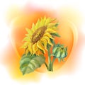 Sunflower frame background