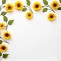 Sunflower Frame with Copy Area Blossoming Beauty