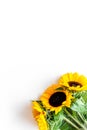 Sunflower frame on white background top view copyspace Royalty Free Stock Photo