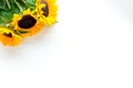 Sunflower frame on white background top view copyspace Royalty Free Stock Photo