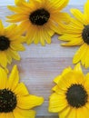 Sunflower frame on wooden background