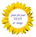 Sunflower frame for your text Royalty Free Stock Photo