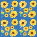 Sunflower and French blue repeating pattern background