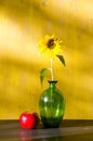 Sunflower in glass vase and red apple still life Royalty Free Stock Photo