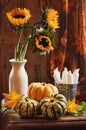 Sunflower & Gourds Still Life Royalty Free Stock Photo