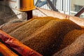 SUNFLOWER GRAINS ARE SUPPLIED BY A PIPE INTO THE ELEVATOR FOR STORAGE