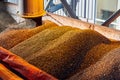 SUNFLOWER GRAINS ARE SUPPLIED BY A PIPE INTO THE ELEVATOR FOR DRYING