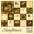 Sunflower greeting card set on the bright background