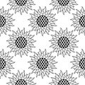 sunflower hand drawn seamless pattern Royalty Free Stock Photo