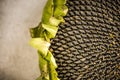 Sunflower head close up view Royalty Free Stock Photo