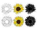 Sunflower head hand drawn elements set for design. Silhouette, line art black ink and colorful flower. Vector clip art Royalty Free Stock Photo