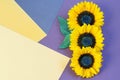 Sunflower heads on the colorful paper background vertically. Creative greeting card design for any purpose