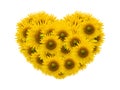 Sunflower heart image