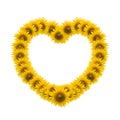 Sunflower heart image