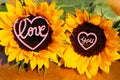 Sunflower with heart in the middle, Love, love you Royalty Free Stock Photo