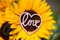 Sunflower with heart in the middle, Love, love you Royalty Free Stock Photo