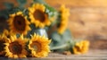 Sunflower on horizontal blur background with copy space Royalty Free Stock Photo