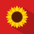 Sunflower icon in flat style with long shadow on red background.