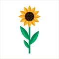 Sunflower icon in Flat style