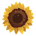 Sunflower icon isolated on white background. Vector illustration Royalty Free Stock Photo
