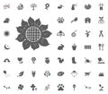 Sunflower icon. Spring illustration icon set. Royalty Free Stock Photo