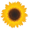 Sunflower icon with triangular polygons