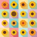 Sunflower icons set, flat style