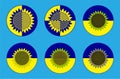 Sunflower icons set. Illustration. Design in the style of yin yang in the colors of the flag of Ukraine