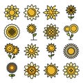 Sunflower icons vector flat