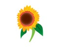 Sunflower Illustration as Flora Entity