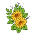 SunFlower illustrations from hand sketches