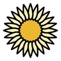 Sunflower inflorescence icon color outline vector