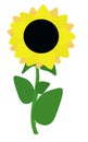 A sunflower is isolated on a white background. Vectorial illustration Royalty Free Stock Photo