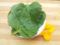 Sunflower leaves in bowl