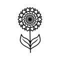 Sunflower with leaves line icon isolated on white background. Vector floral illustration. Botanical summer concept. For cutting, Royalty Free Stock Photo