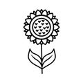 Sunflower with leaves line icon isolated on white background. Vector floral illustration. Botanical summer concept. For cutting, Royalty Free Stock Photo