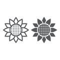 Sunflower line and glyph icon, nature and floral, flower sign, vector graphics, a linear pattern on a white background.